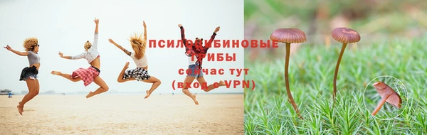 скорость Зеленодольск