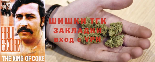 сатива Заводоуковск