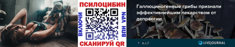 shop как зайти  Волгоград  Галлюциногенные грибы мухоморы  mega онион 